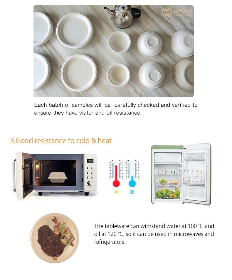 日韩无码性爱福利视频 Biodegradable Tableware