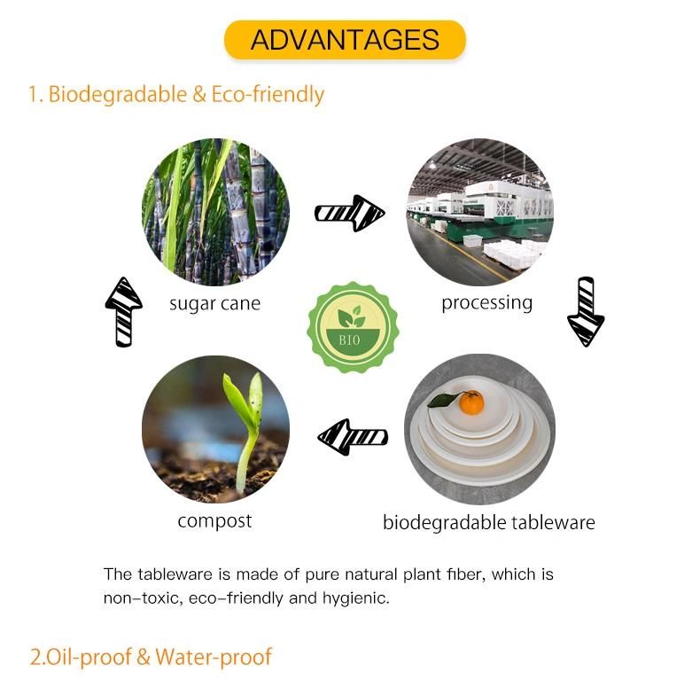 日韩无码性爱福利视频 Biodegradable Tableware