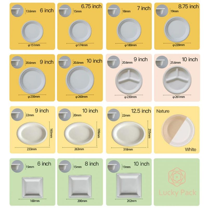 日韩无码性爱福利视频 Biodegradable Tableware