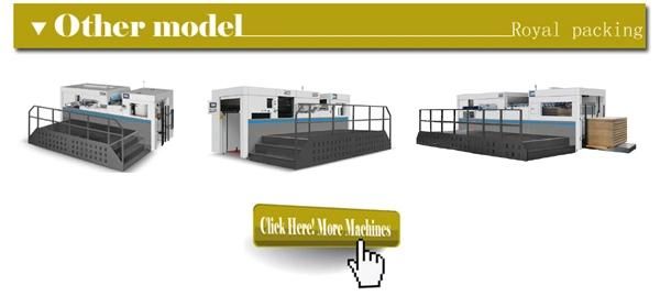 Automatic Platen Die Cutting Machine with Stripping and Blanking