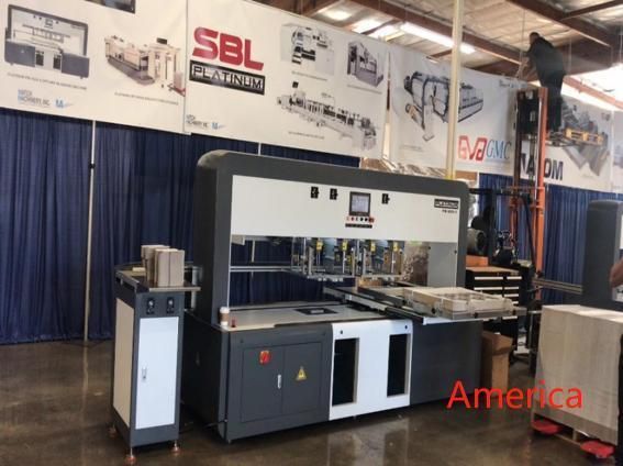 Shunxinlong Remove Waste Paper Double Heads Stripping Blanking Machine After Die-Cutting