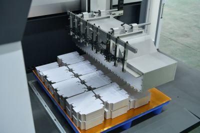 Shunxinlong Remove Waste Paper Double Heads Stripping Blanking Machine After Die-Cutting